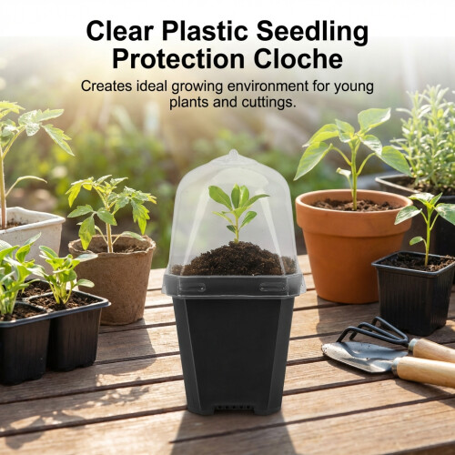 Succulent Seed Starter Kit w/ Lid, 50 Char 1