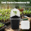Succulent Seed Starter Kit w/ Lid, 50 Char 4