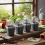 Succulent Seed Starter Kit w/ Lid, 50 Char 6