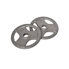 Set of 2 Cast Iron Weight Plates for 2"/5cm Hole Dumbbell Handle Bar, Barbell Weight 2 x 10kg