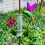 Useful Yet decorative Iron Rain Measurement Object In Small Bird 4