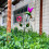 Useful Yet decorative Iron Rain Measurement Object In Small Bird 7