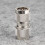 2er Set Messing N-Stecker auf Stecker, 50 Ohm 10