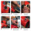 Machinery Thread Repair Kit 25Pcs M3 Inserts with Plastic Storage Box 3
