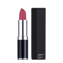 Professional Matte Lipstick 12 Colors, Waterproof, Long Lasting, 20g