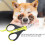 Plastic Safe Spring Nail Clipper for Dog Cat 12*7cm Yellow 8