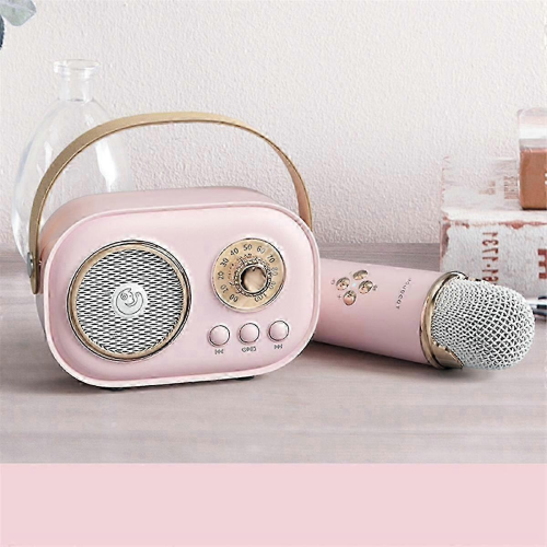 Wireless Bluetooth Audio Portable Amplifier Home KTV Microphone Children'S Karaoke Small Microphon 2
