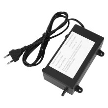 1000 mg Tragbarer Ozongenerator Luftsterilisator Desinfektion EU-Stecker 220V