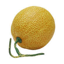 High Quality ABS Faux Honeydews Melon Art Piece-Yellow round