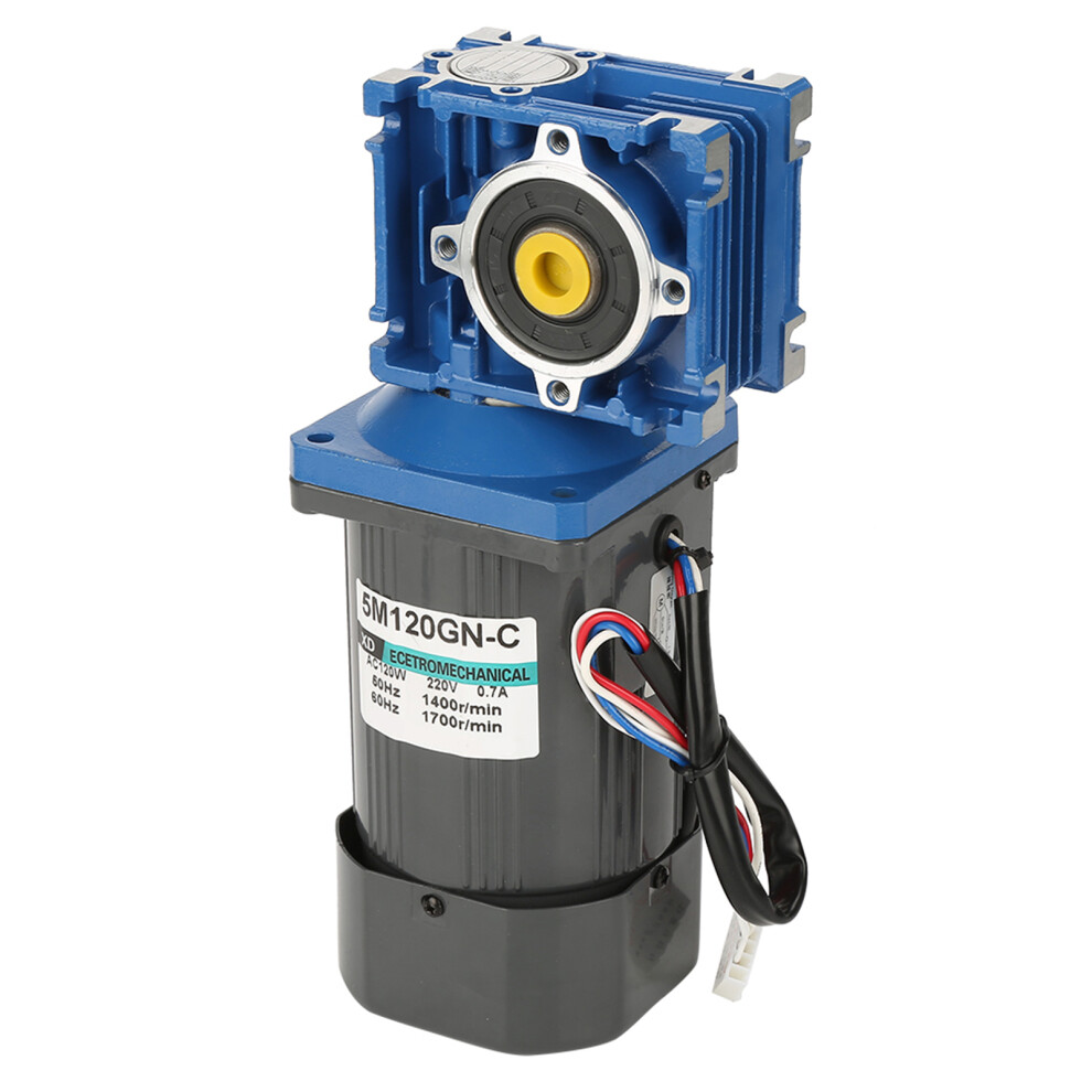 AC 220V 120W Worm Gear Motor with Governor