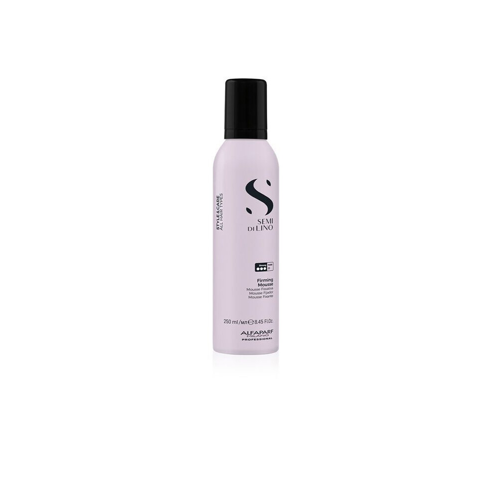 Hair Preparation STYLE & CARE fixing mousse 250 ml