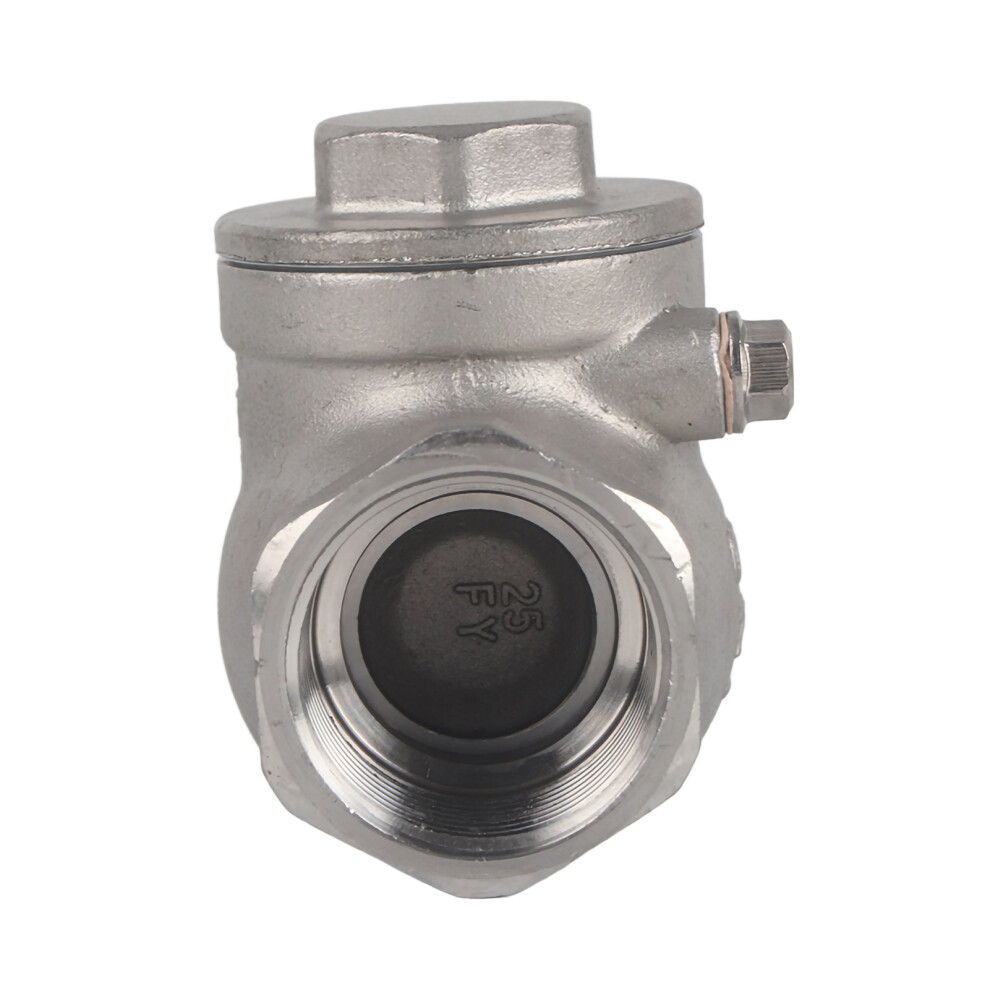 DN25 1" Stainless Steel Swing Valve 200PSI