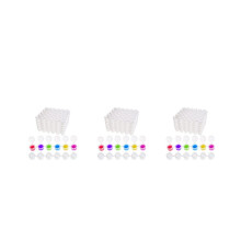 150 Streifen Farbtöpfe Streifen, 900 Töpfe 2Ml/0.07 Oz Leere Farbe Becher Töpfe mit Deckel, Für Klassen Zimmer Gemälde Kunst Fest