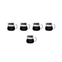 5x hitzebeständige Kaffeekanne, Handbrühkanne, Edelstahldeckel, transparente Glaskanne mit Griff