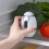 Smart luktdeodorant Bärbar kylskåpsdeodorant Mini 2