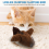 Rechargeable plush bird toy for kittens with chirping sounds and fluttering function 4