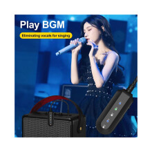 Draadloze audioadapter met stemonderdrukker, ontvanger en aux-adapter voor karaoke-oefeningen en live