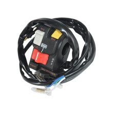 Neues ATV-Starterlicht, Not-Aus-Schalter, Start/Stopp-Choke-Schalter-Set 35020-HC4-004 für ATV 300 TRX300FW