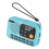 Portable FM radio, wireless Bluetooth speaker recorder B 1