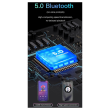 AK360 Stereo Amplifier for Car and Home USB Lossless Playback Radio Amplifier