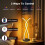 LED table lamp +W color changing dimmable with remote control and music 1