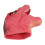 Dinosaur Puppet Interactive Toy 10