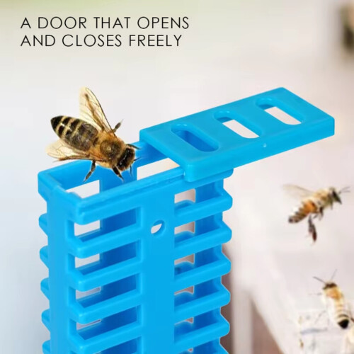 Push-Pull Queen Bee Escape Box Beekeeping Equipment 1