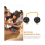 Rhythmic ball, egg shaker, double pumpkin percussion, black 1