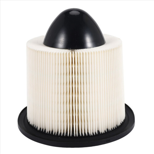 AF4878 Motorluftfilter für E150