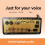 D100W Bluetooth amplifier board EU plug 2