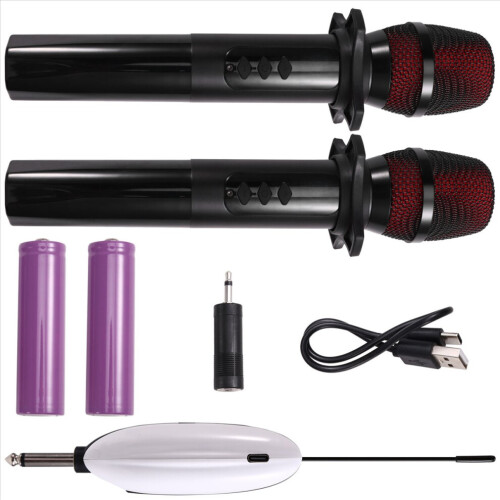 UHF-Funkmikrofon-Expander mit 6,5-mm-Mikrofonmischer 2