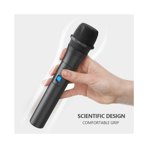 2-teiliges drahtloses Mikrofonsystem-Set 1