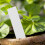 500 Pcs Reusable PVC Plant Tag Tree Fruit Seedling Plastic Label 4