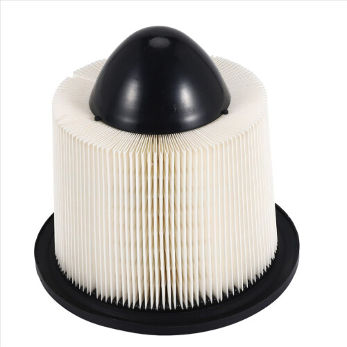 AF4878 Motorluftfilter für E150 2