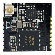 Holyiot Nordic NRF52832 PA IPX Module Low Development Board NRF52 DK Long Distance Automation Modules IOT