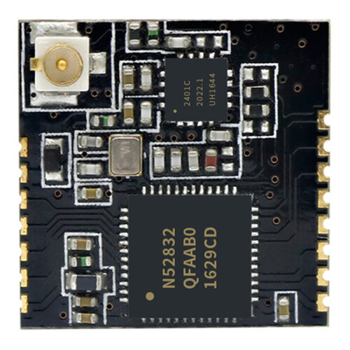 Holyiot Nordic NRF52832 PA IPX Modul  Low  Board 1