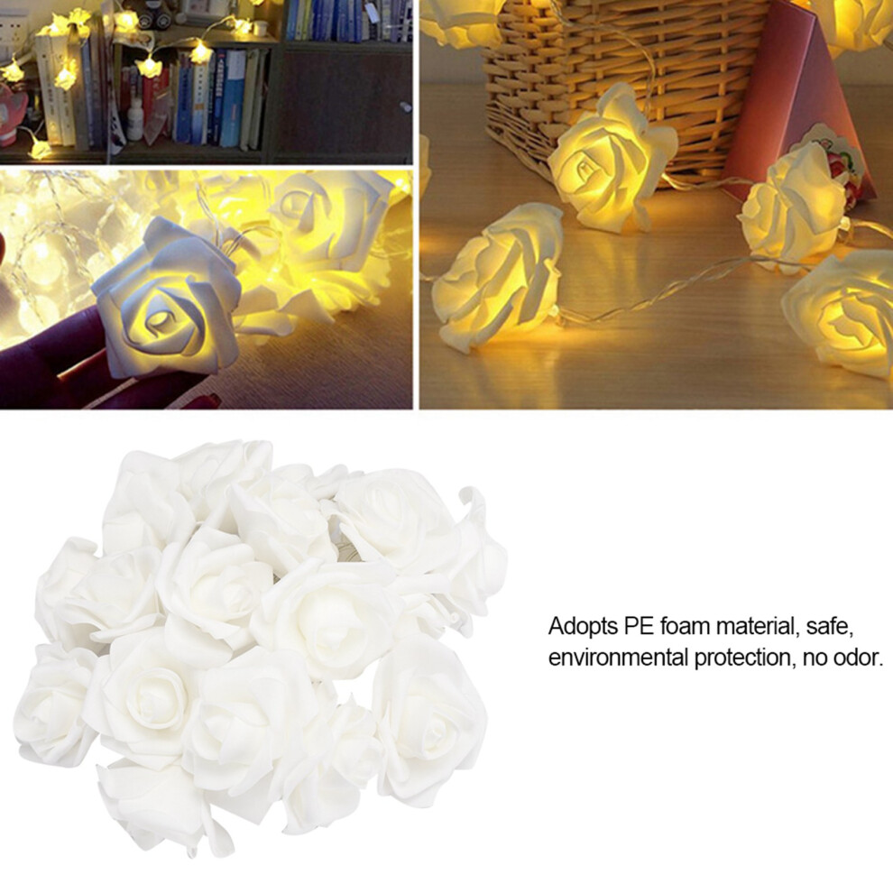 LED Solar Garden Lights 10 Pack Weatherproof Outdoor Pathway Illumination