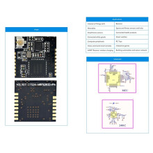 Holyiot Nordic NRF52832 PA IPX-Module Low Ontwikkelingsbord NRF52 DK Langeafstandsautomatiseringsmodules IoT