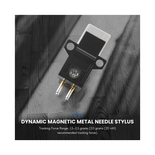 Magnetischer Abtaststift für Plattenspieler 2