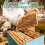 12-piece beekeeping starter set, beekeeping supplies, beekeeping tools 2