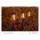 4PCS Solar Flashlights for Garden Decor, 12 LED Solar Lights 4