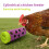 Interactive Puzzle Roller Feeder Dog Toy Rolling Treat Dispenser 2