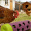 Interactive Puzzle Roller Feeder Dog Toy Rolling Treat Dispenser 7