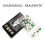 Pack of 24 Elegant Fake Nail Light Green Leaf Pattern Glitters 6