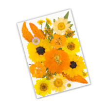 Natural Dried Flower For Bookmarks Jewelry Candle Making-A