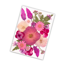 Natural Pressed Dried Flower Leaves Set For Candle Making-D