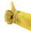 Bee Gloves XL Long Mesh 1