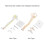 38cm Human Spine Model for Education, Removable & Flexible 3