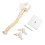 38cm Human Spine Model for Education, Removable & Flexible 5