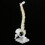 38cm Human Spine Model for Education, Removable & Flexible 6